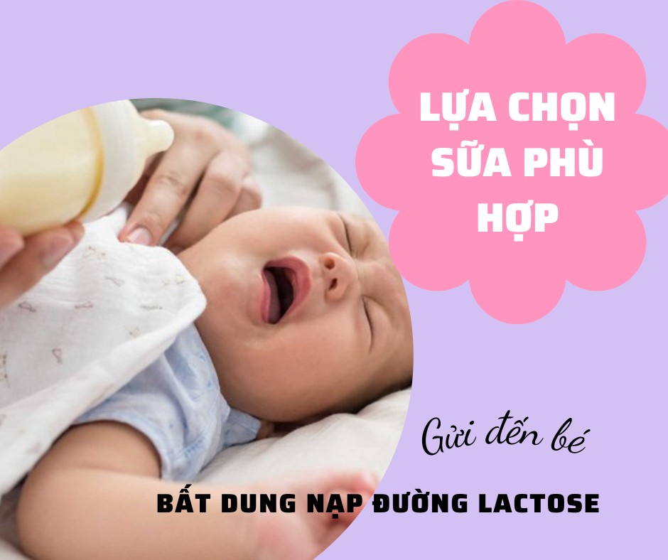 Lựa chọn sữa cho trẻ bất dung nạp đường lactose